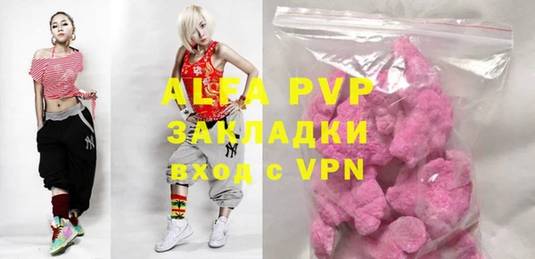 стафф Алексин