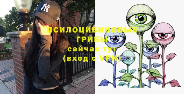 стафф Алексин