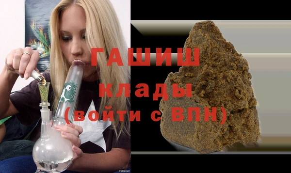 индика Алзамай
