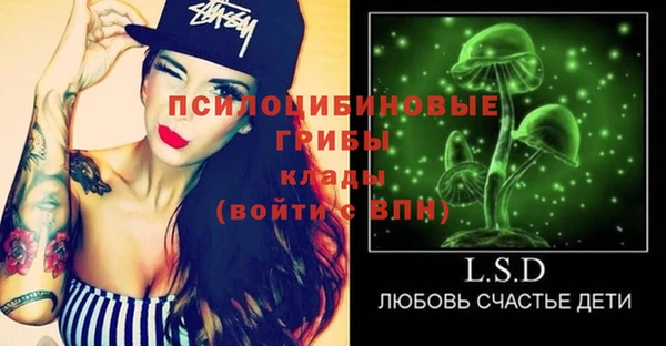 стафф Алексин