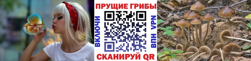 Псилоцибиновые грибы MAGIC MUSHROOMS сколько стоит Королёв